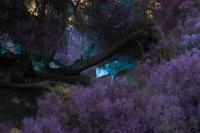 Claudia Fuggetti, "Hot Zone", 2021. 100 x 140 cm. | DER GREIF