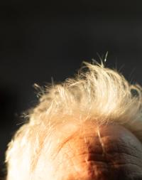 From the series "Like we could almost live forever" | DER GREIF