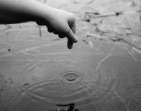 From the series "Circle of Life", Minsk, Belarus, 2025 | DER GREIF