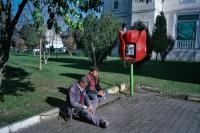 From the series "Calmistery" | DER GREIF