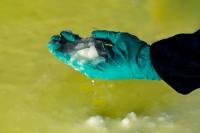 "Lithium Sample" | DER GREIF