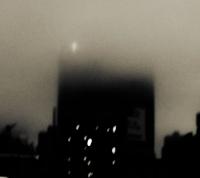 Viviana Almas, Midnight Mist, New York, USA | DER GREIF