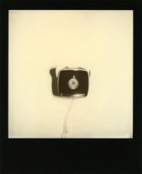 From the series "Metanoia" | DER GREIF