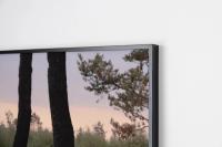 Detail, Justus Lemm, "Burnt Trees After Wildfire", 2023. © Der Greif Studio | DER GREIF