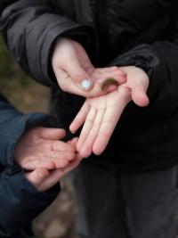 "Children with Caterpillar" | DER GREIF