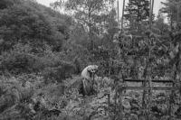 Maximilian Gödecke, from the series "Walk Good; Be Kind", Marienheide, Hessen | DER GREIF