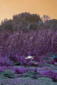 Claudia Fuggetti (Taranto, Italy), From the series "Hot Zone" | DER GREIF