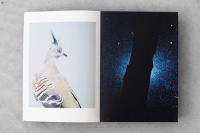 Art Consulting by Der Greif Studio | DER GREIF