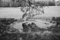 Philipp Czampiel, from the series "Walk Good; Be Kind", Hennef, Nordrhein-Westfalen | DER GREIF