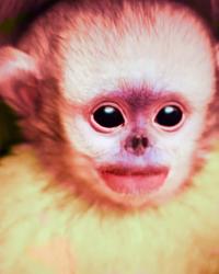 Friends Forever | DER GREIF