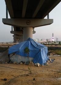 fata morgana | DER GREIF