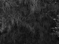"In the Depths" | DER GREIF