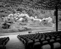 From the series "The Internal Crusade", Zunyi, China, 2024 | DER GREIF