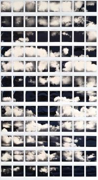 From the series "Metanoia" | DER GREIF
