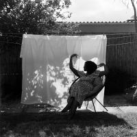 Afternoon Light | DER GREIF