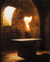 Vesta's gift | DER GREIF