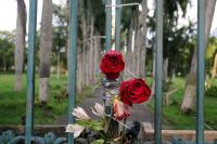 Christopher López, "De Todas Maneras Maneras Rosas", San Juan, Puerto Rico, 2017 | DER GREIF