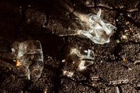 Im Himmel, da gibt’s kein Bier | DER GREIF