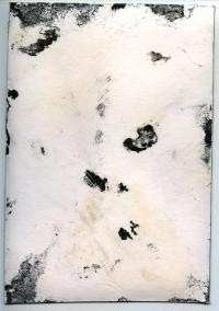 Joe Burrows, Surface Sample Autoradiogram 1, Cornwall, GBR, 2024 | DER GREIF
