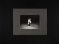 "Maya, in a Swarm" | DER GREIF