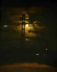 From recent walks | DER GREIF