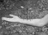 Non technological devices | DER GREIF