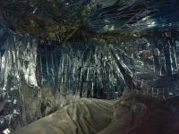 "La cage" | DER GREIF