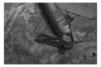 Alhena Meher Qadri, Unmanicured Past, Srinagar, India, 2024 | DER GREIF