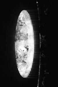 Untitled | DER GREIF