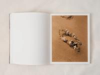 Dummy Book | DER GREIF