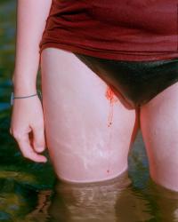 Image from “Dead Trees Speak to Me” photobook by Tabitha Barnard | DER GREIF