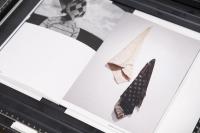 Der Greif Issue 18 | DER GREIF