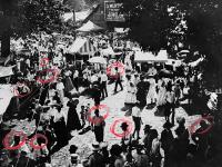 "Picnic" | DER GREIF