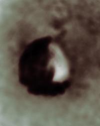 I can't bear for you to see me cry (WIP) | DER GREIF