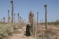 "Death", Islamic Republic of Iran, 2021 | DER GREIF