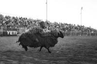 "The Ride", Okmulgee, United States, 2022 | DER GREIF