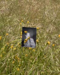 "Šahuču / Solvang, Mission Ines, (Coast Fiddleneck)", 2023 | DER GREIF