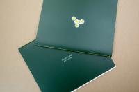 Image from "You Don't Need Soil to Grow" photobook | DER GREIF