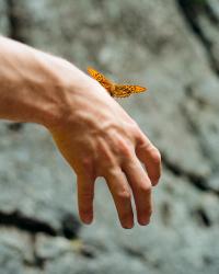 Image from "ROYGBIV" Photobook | DER GREIF