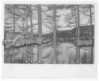 Untitled | DER GREIF