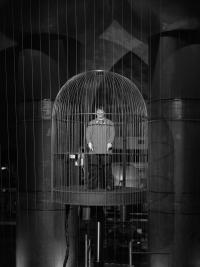 "Stagnant" | DER GREIF