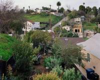 Alika Tending | DER GREIF