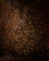 Coins thrown into the water of a cave | DER GREIF