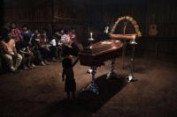 From the series "Forest Ruins", São Paulo, Brazil, 2025 | DER GREIF