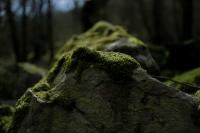 "Cwm yr Escob (landscape in moonlight)" | DER GREIF