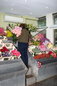 Protean Routes - Jansen van Staden | DER GREIF