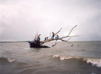 "Capsized", 2025 | DER GREIF