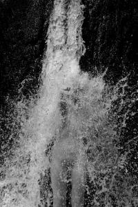 Daria Nazarova, from the series "Natura" | DER GREIF