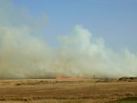 Suspected arson blaze breaks out along Route D619, 2024 | DER GREIF