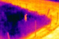 "Decision", Libiąż, Poland, 2025 | DER GREIF